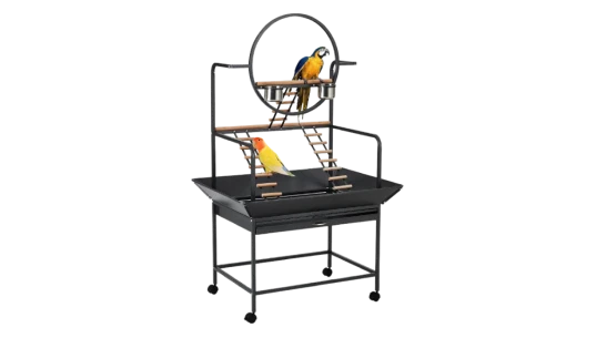 Bird Playstand 66" H