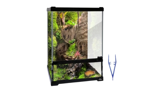 Reptile Glass Terrarium Tank