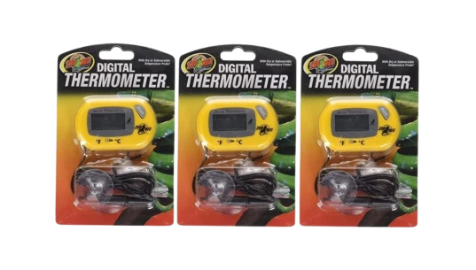 Digital Thermometer 3 Pack