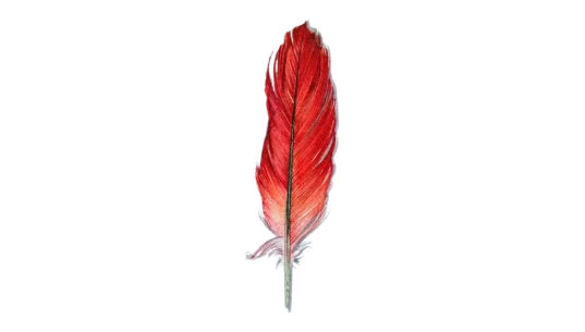 Parrot Feather - Red