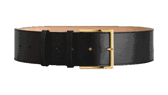 Wide Leather Belt