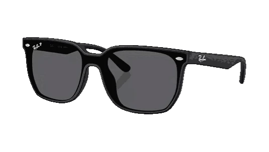 RB4466D Polarized