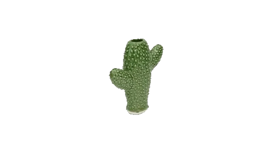 Cactus Vase S
