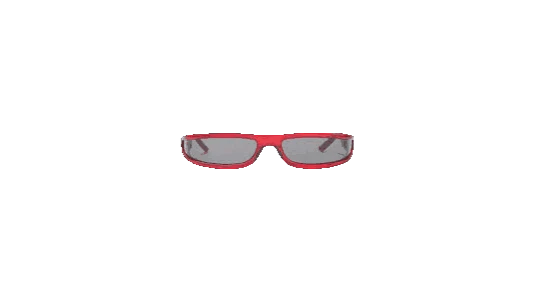 Fog Sunglasses