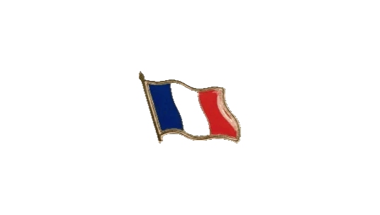 French Flag Pin