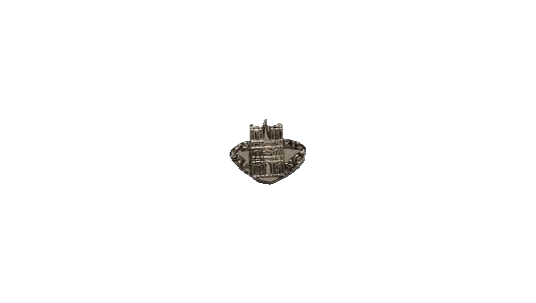 Notre-Dame Pin