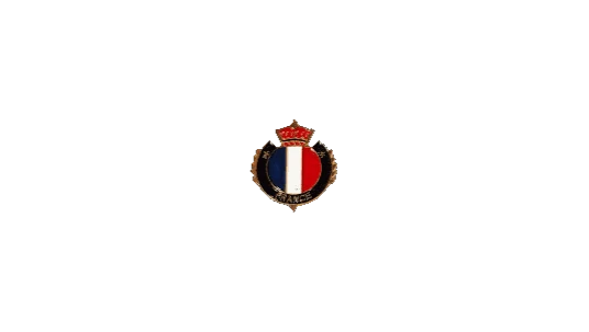 French Forces Pin