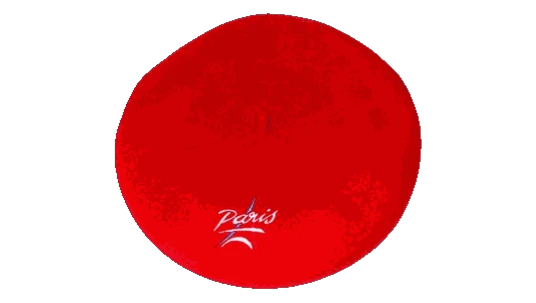 French Paris Beret