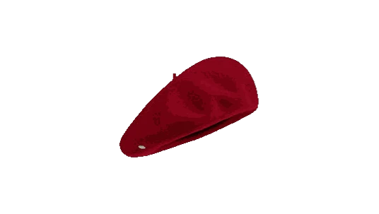 Authentique Beret
