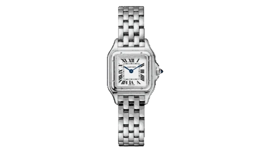 Panthère Small Steel Watch