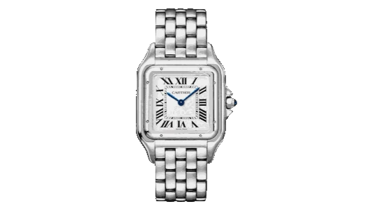 Panthère Large Steel Watch