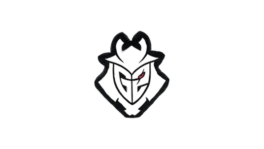 G2 Logo Cushion