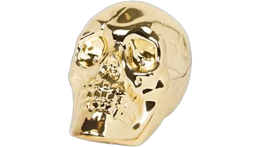 Light-Up Skull