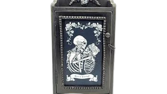 Skeleton Lovers Apothecary Cabinet